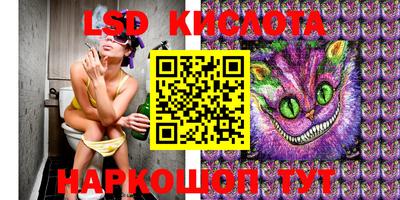 a pvp Краснодар