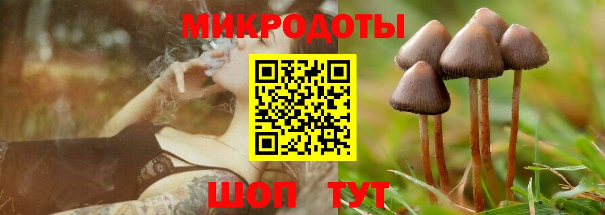 Ейск  Галлюциногенные грибы Psilocybine cubensis  где можно купить наркотик  Вход с VPN 